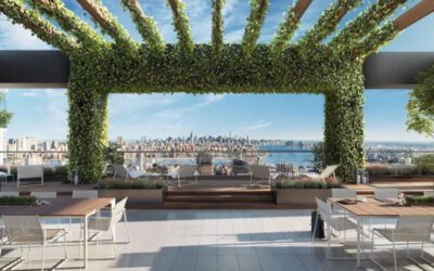 Office Building Terraces Bloom During COVID