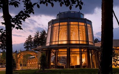 Timber Tonic: How Wood and Natural Materials Can Transform Healthcare Facility Design